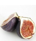 Health-benefits-of-Fig
