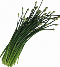 Health benefits of Chives