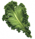Health benefits of Mustard Greens