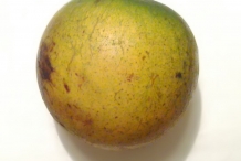 Abiu-fruit