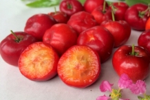 Half-cut-Acerola-chery