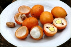 Achacha-Fruits-on-the-plate