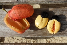 Ackee-flesh