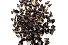 Aconite-seeds
