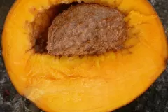 Half-cut-African-apricot-fruit