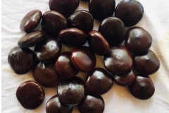 Seeds-of-African-dream-bean