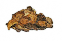 Dried-slice-of-African-Potato