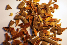 Dried-barks-of-Alder-buckthorn
