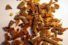 Dried-barks-of-Alder-buckthorn