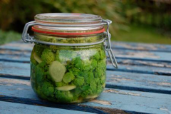Pickled-Buds-of-Alexanders