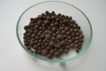 Allspice-dried