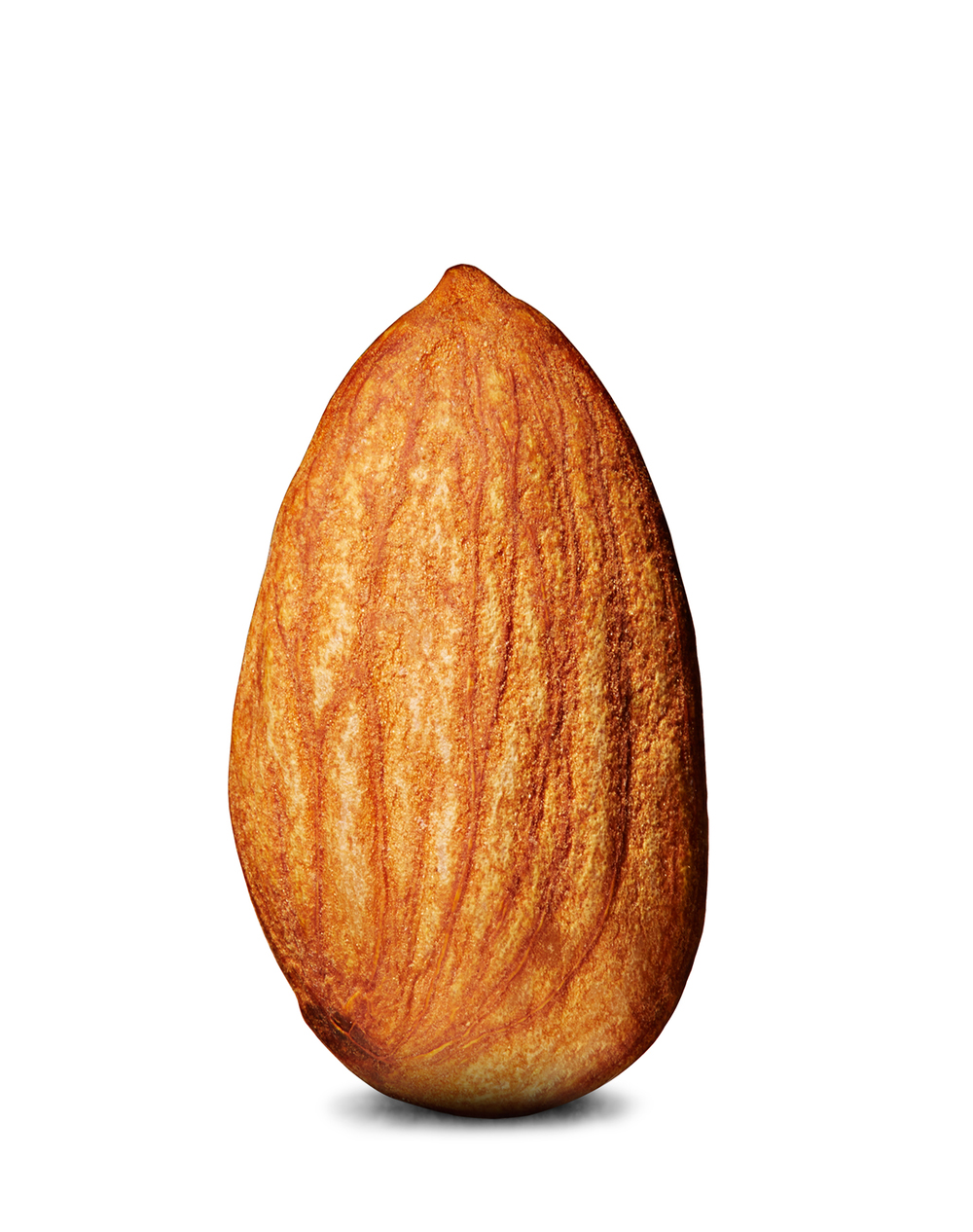 Almond-nut