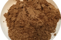 Amaltas-Extract-Powder