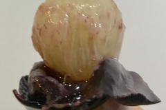 Flesh-of-Amazon-grape