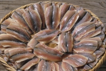 American-shad-fillets