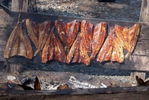 Smoked-American-shad