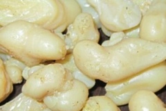 Closer-view-of-gum-of-Ammoniacum