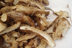 Dried-rhizomes-of-Anemarrhena