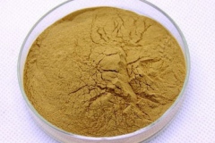 Rhizome-powder-of-Anemarrhena