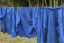 Clothes-dyed-from-Anil-indigo