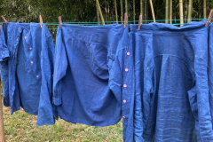 Clothes-dyed-from-Anil-indigo