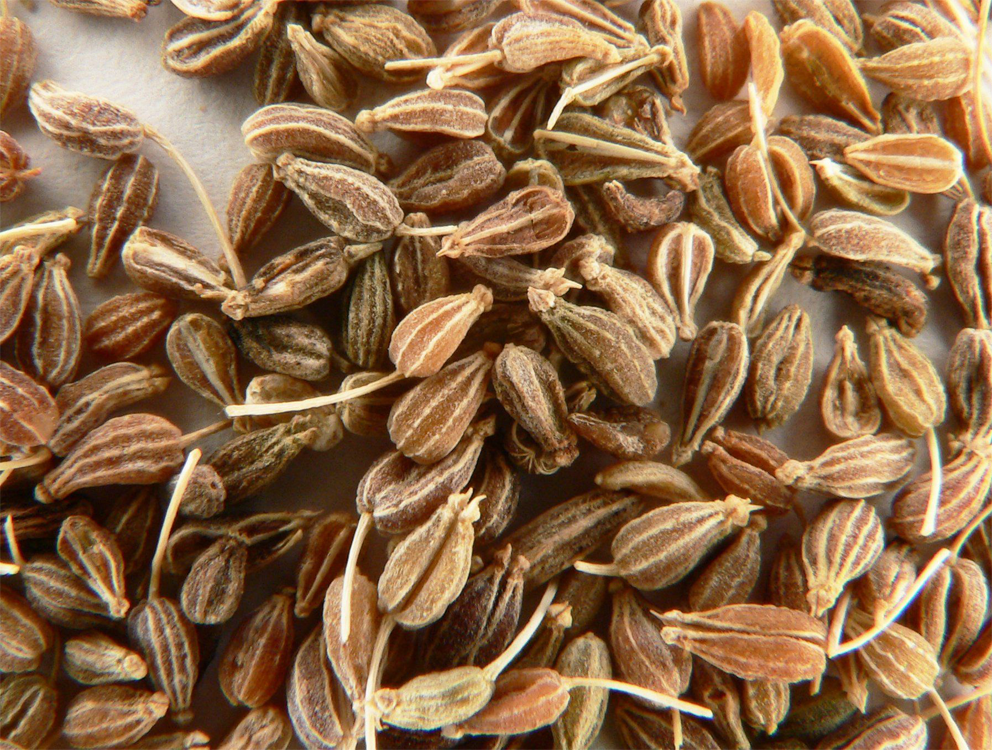 Anise-seeds