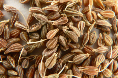Anise-seeds