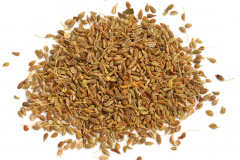 Dried-Anise-seed