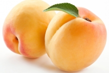 Apricot-fruit