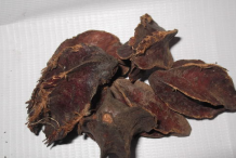 Dried-Seeds-of-Arjun-Tree