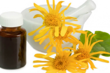 Arnica-essential-oil