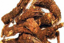 Roots-of-Arnica-plant