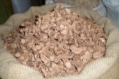 Aromatic-ginger-dried-roots