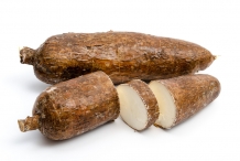 Half-cut-Arrowroot