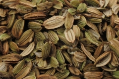 Ashitaba-seeds