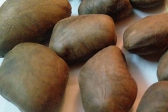 Seeds