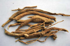 Ashwagandha-Root