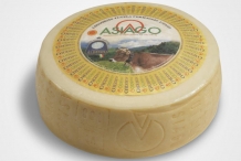 Wheel-of-Asiago-cheese