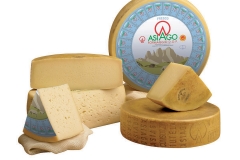 Asiago-cheese-2