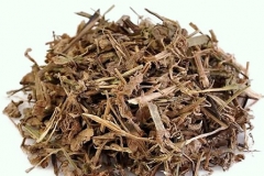 Dried-parts-of-Asiatic-dayflower