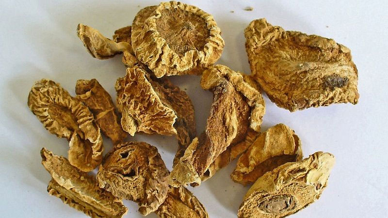 Dried-stem-of-Ativisha