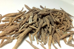 Dried-roots-of-Ativisha