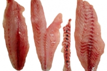 Atlantic-Croaker-fillets