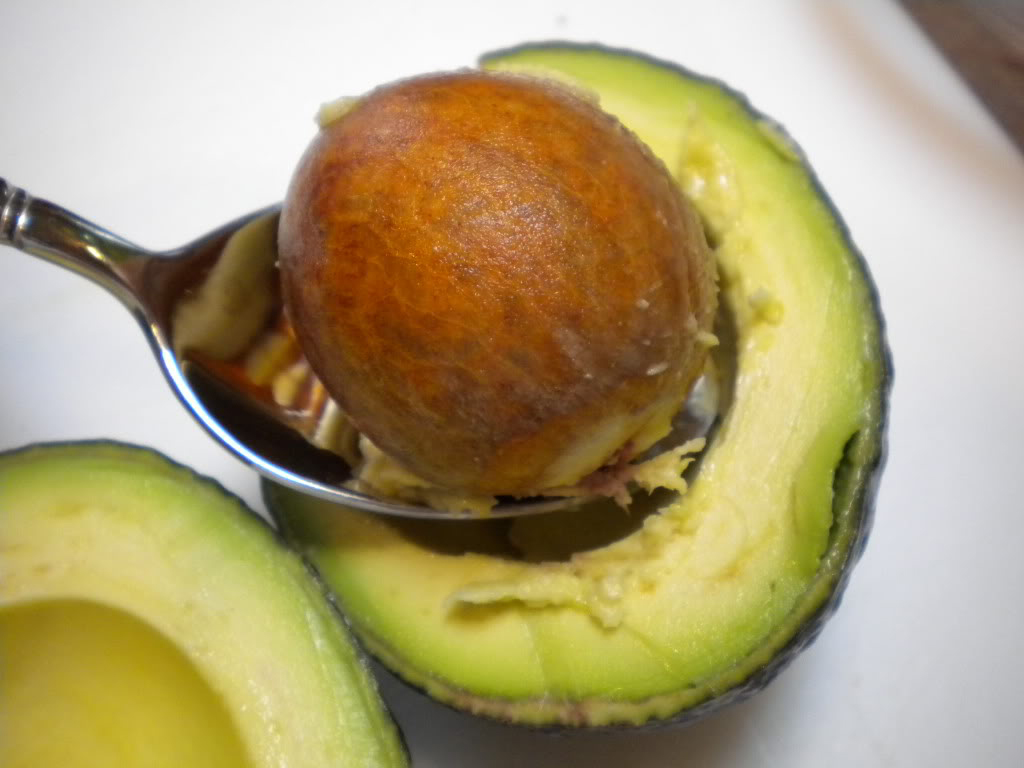 Avocado-seed-Kyese