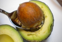 Avocado-seed-Kyese
