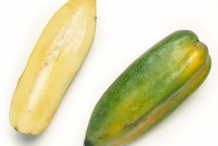 Half-cut-Babaco