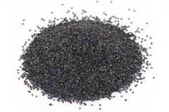 Seeds