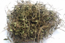 Dried-Bacopa-leaves