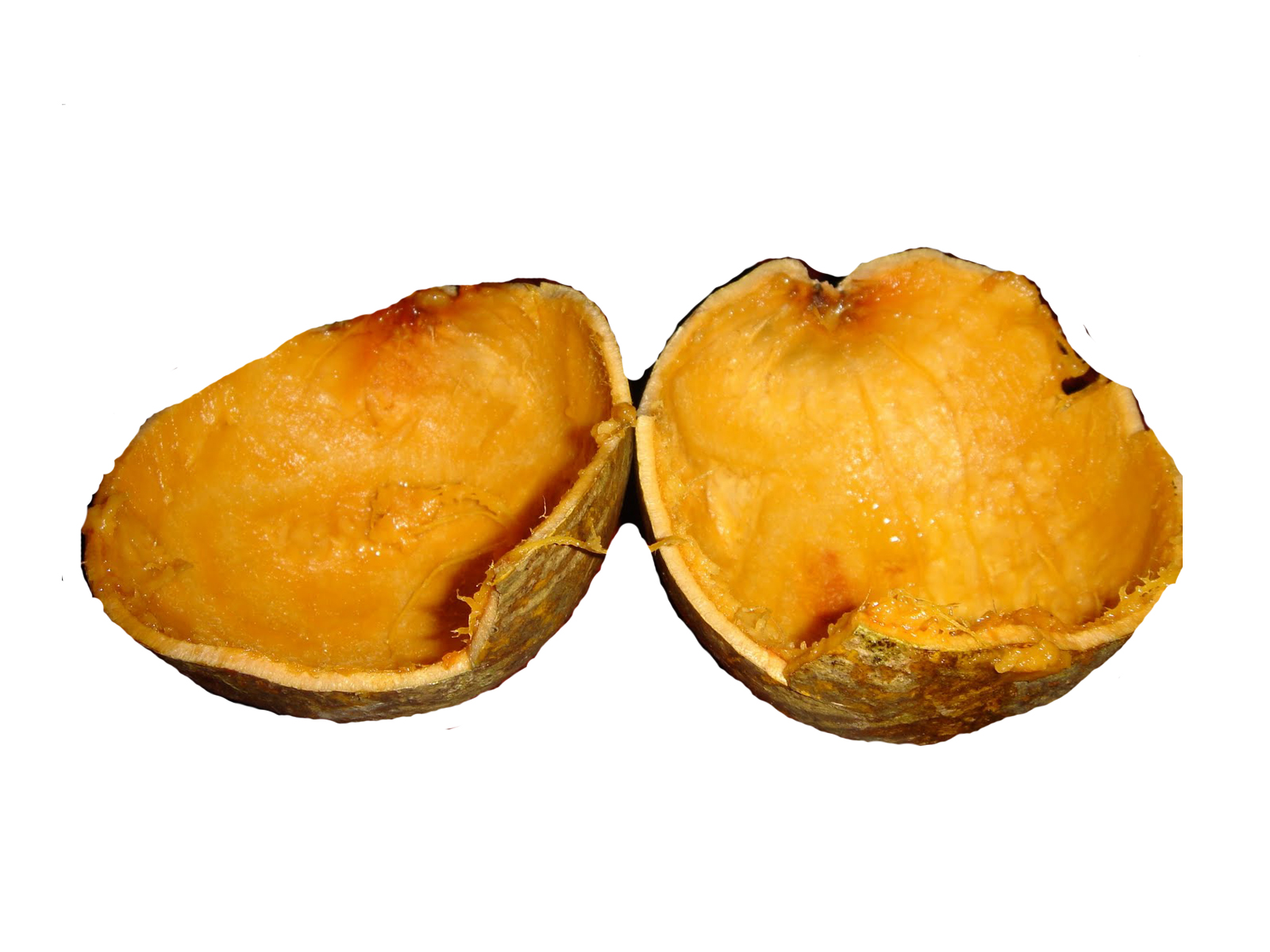 Bael-fruit-shell