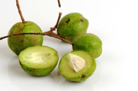 Unripe-Baheda-fruit
